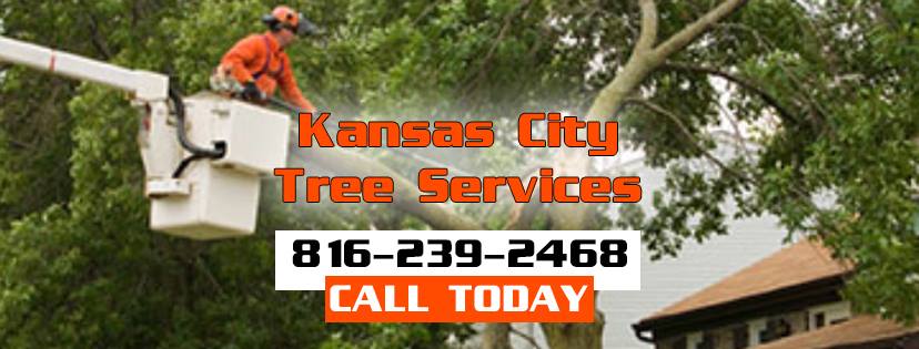 Kansas City Tree Removal Service logo