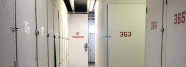 Safe Self Storage Inc. cover