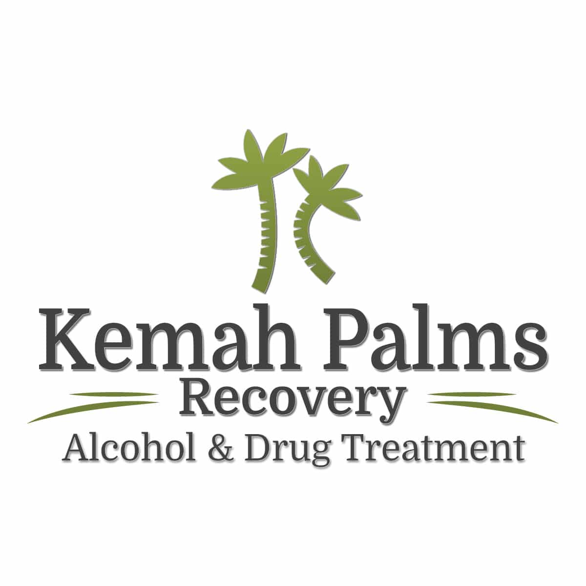 Kemah Palms Recovery - Alcohol & Drug Treatment cover