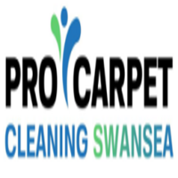 Pro Carpet Cleaning Swansea logo