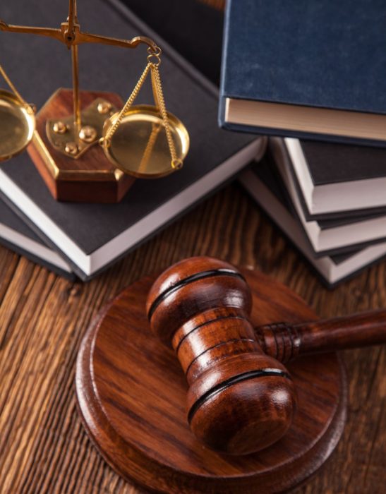 Empower Law Group logo