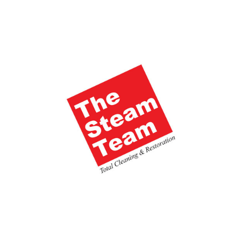 The Steam Team cover