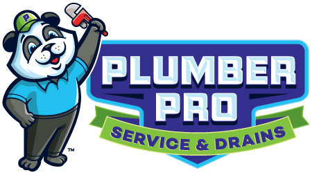 Gwinnett Plumber Pro Service cover