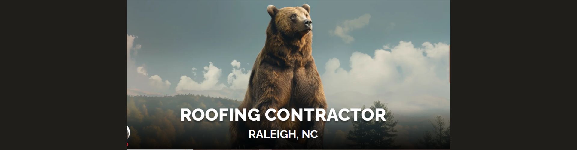Big Bear Roofing cover