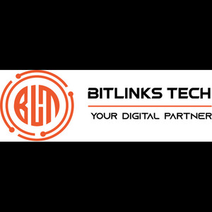 Bitlinks Tech USA logo