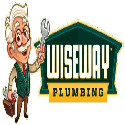 WiseWay Plumbing logo