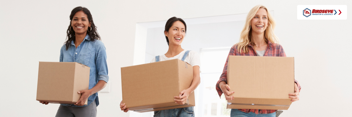 Birdseye Transport & Logistics cover