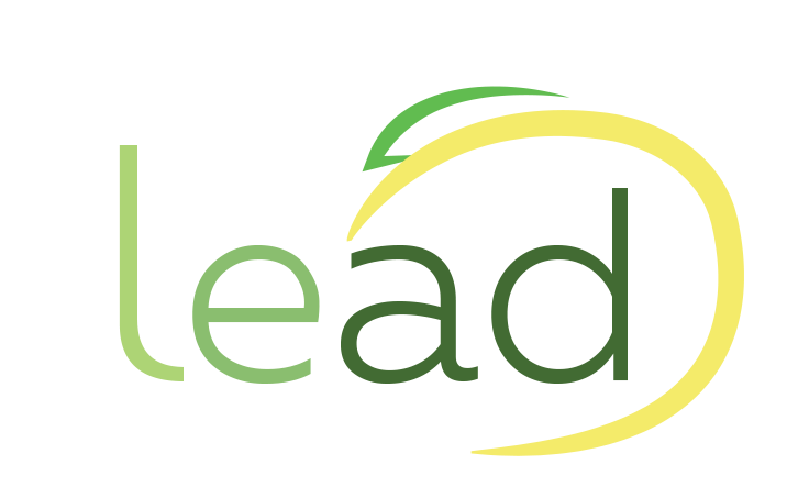 Lead Property & Cleaning Services cover