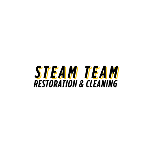 Steam Team cover