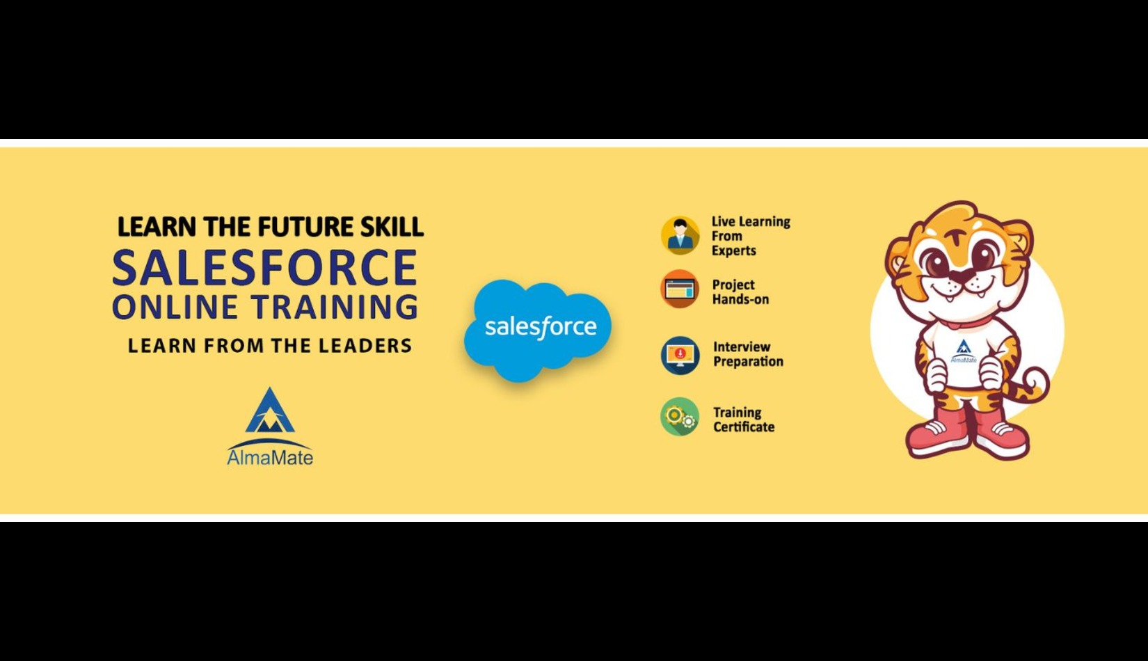 AlmaMate Info Tech cover