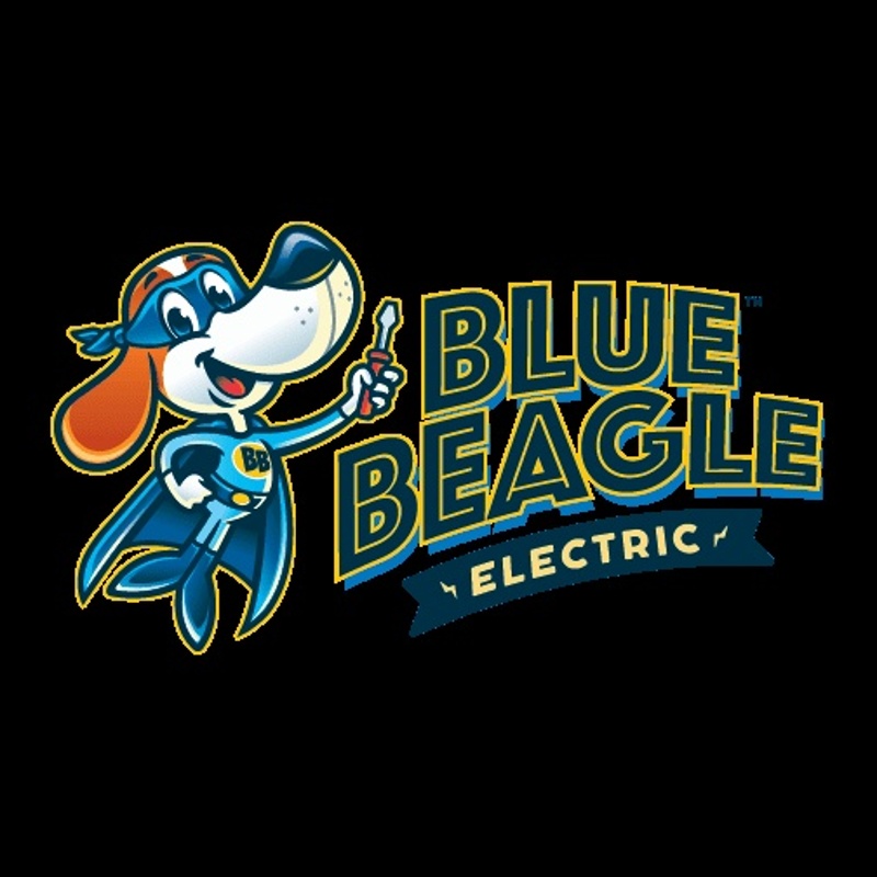 Blue Beagle Electric cover