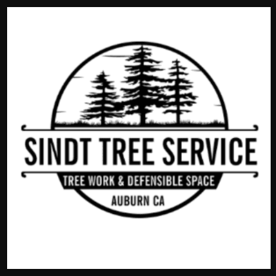 Sindt Tree Service logo